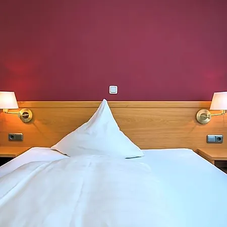 Hotel Merle *
